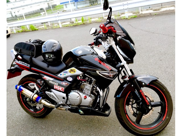 GSR250 の フロントフェンダー - バイク