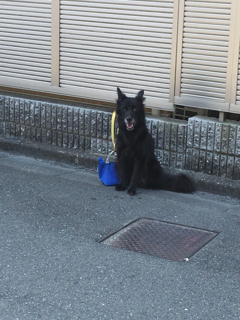 バイクブロスコミュニティ