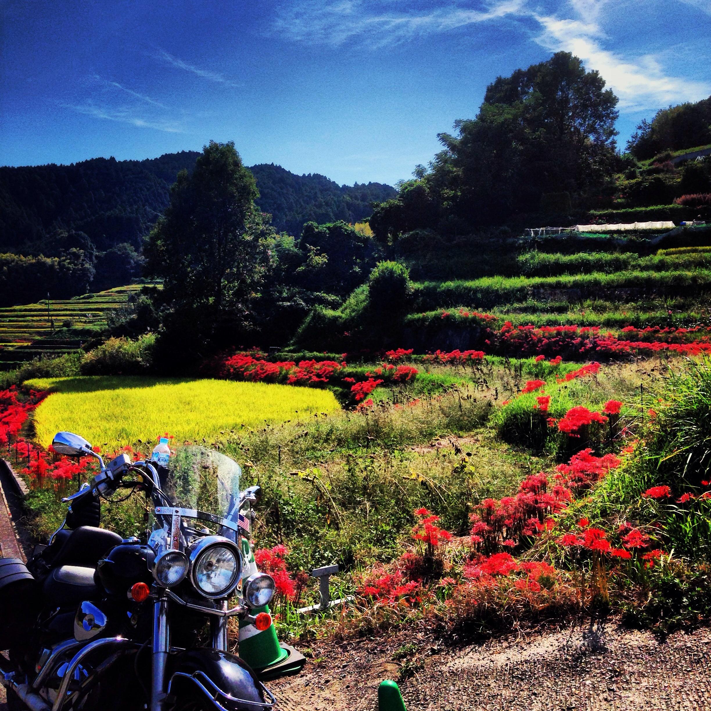 バイクブロスコミュニティ