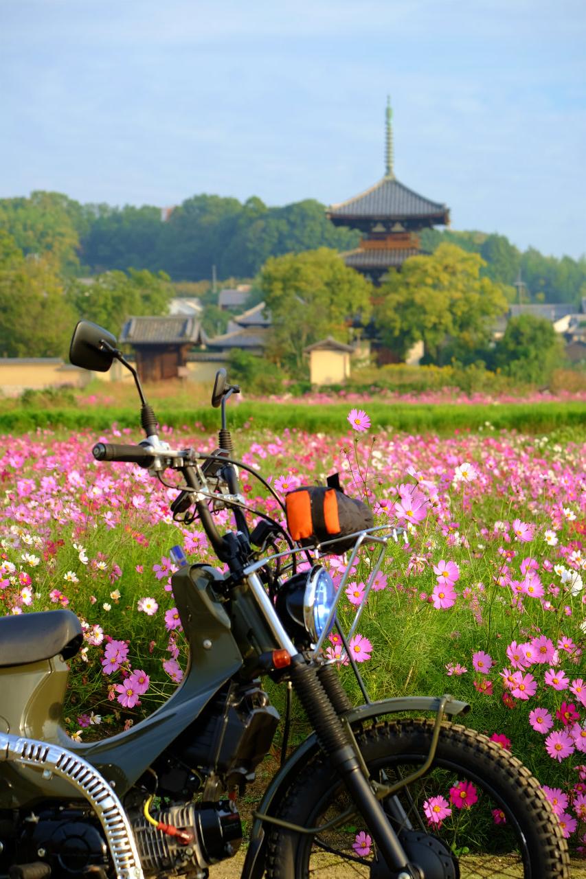 バイクブロスコミュニティ