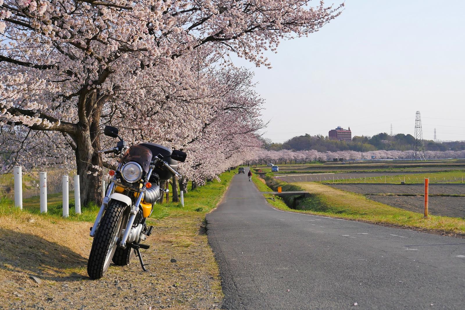 バイクブロスコミュニティ