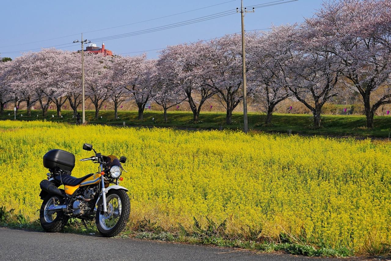 バイクブロスコミュニティ