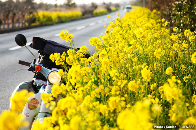 房総フラワーライン 千葉県 日本の絶景100選 バイクブロス マガジンズ